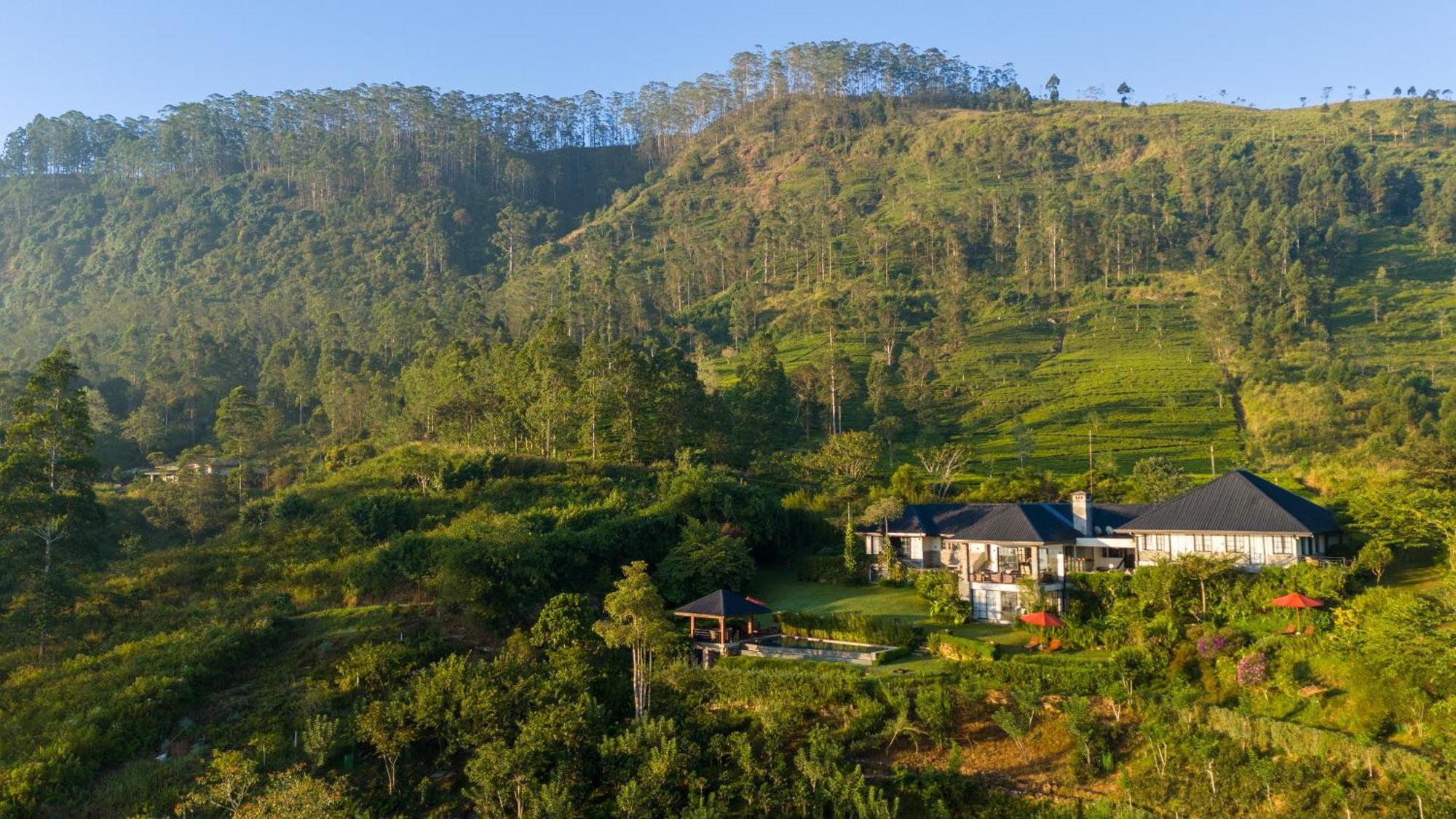 Camellia Hills Ξενοδοχείο Hatton Εξωτερικό φωτογραφία