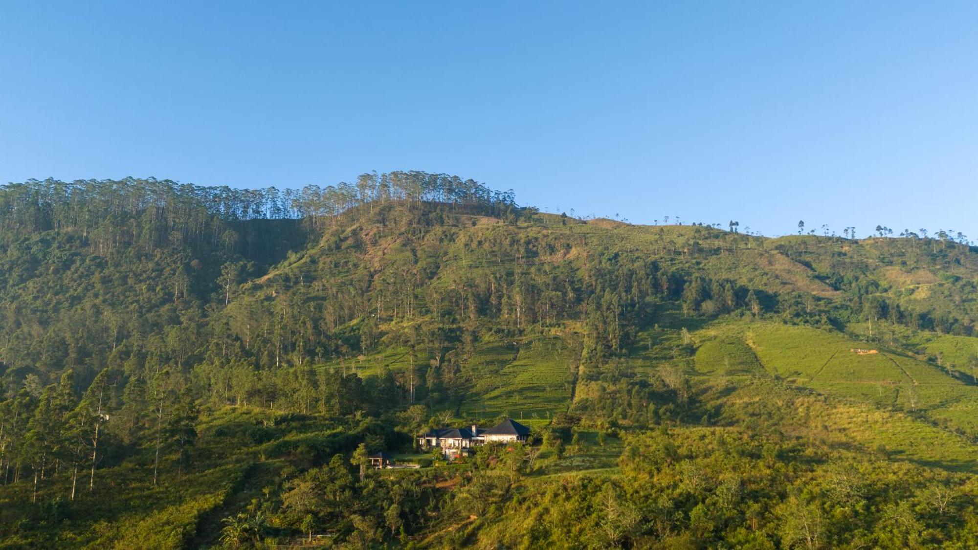 Camellia Hills Ξενοδοχείο Hatton Εξωτερικό φωτογραφία