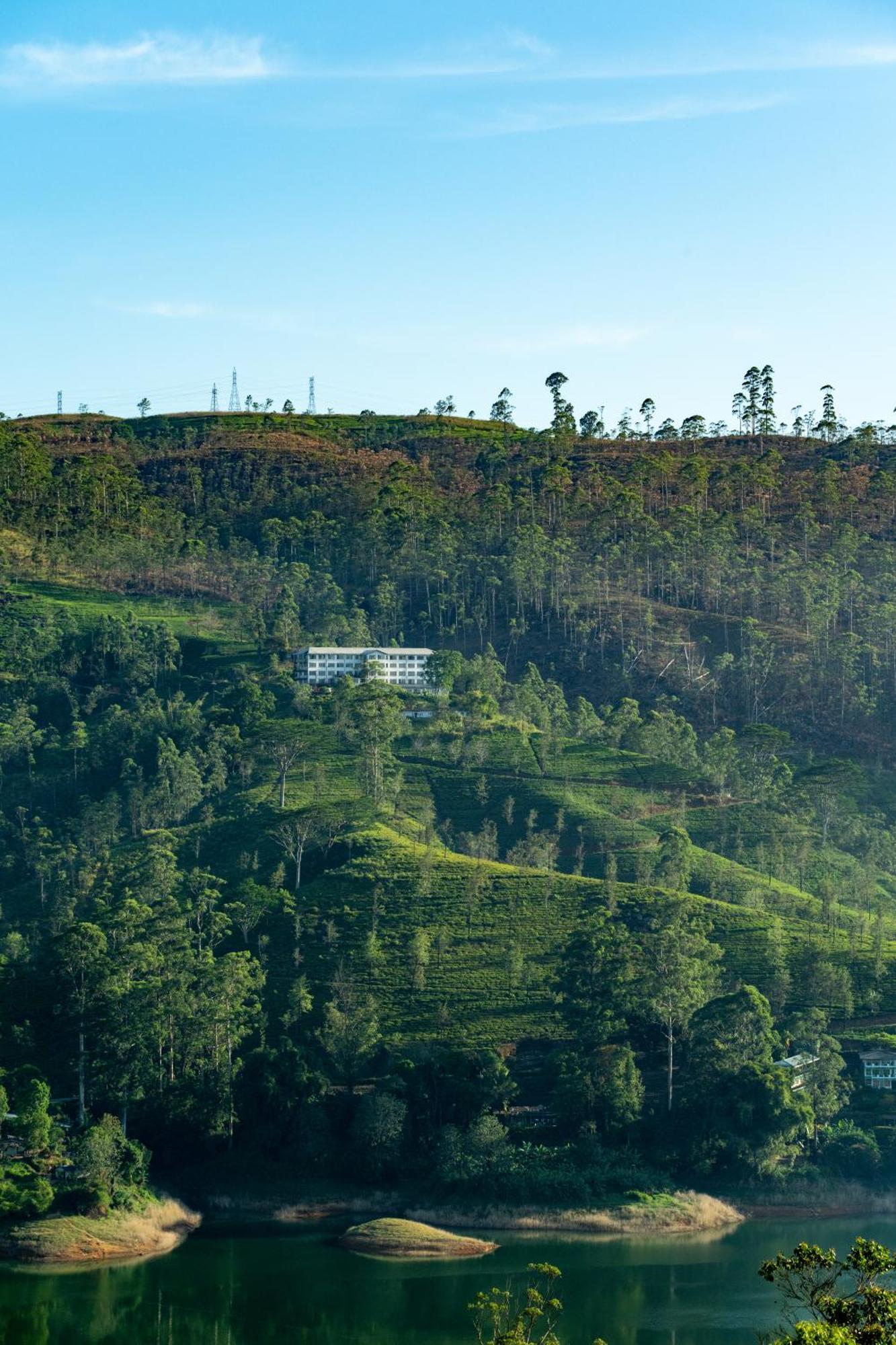 Camellia Hills Ξενοδοχείο Hatton Εξωτερικό φωτογραφία